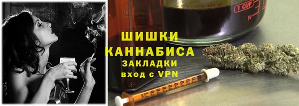 индика Михайловка