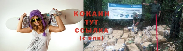 индика Михайловка