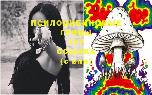 индика Михайловка