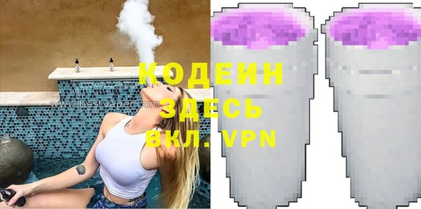 индика Михайловка