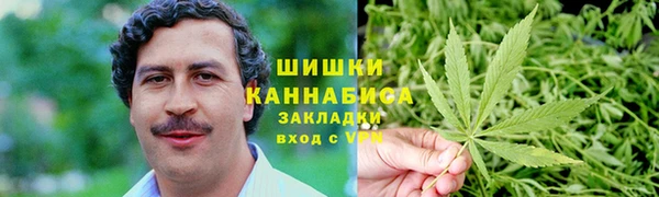 индика Михайловка